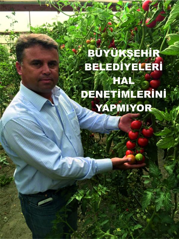 HAL DENETİMİ YAPILMIYOR